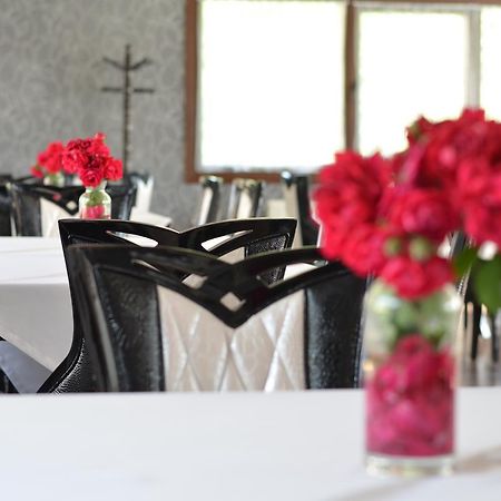 Johnny Hotel Kamenice Eksteriør billede
